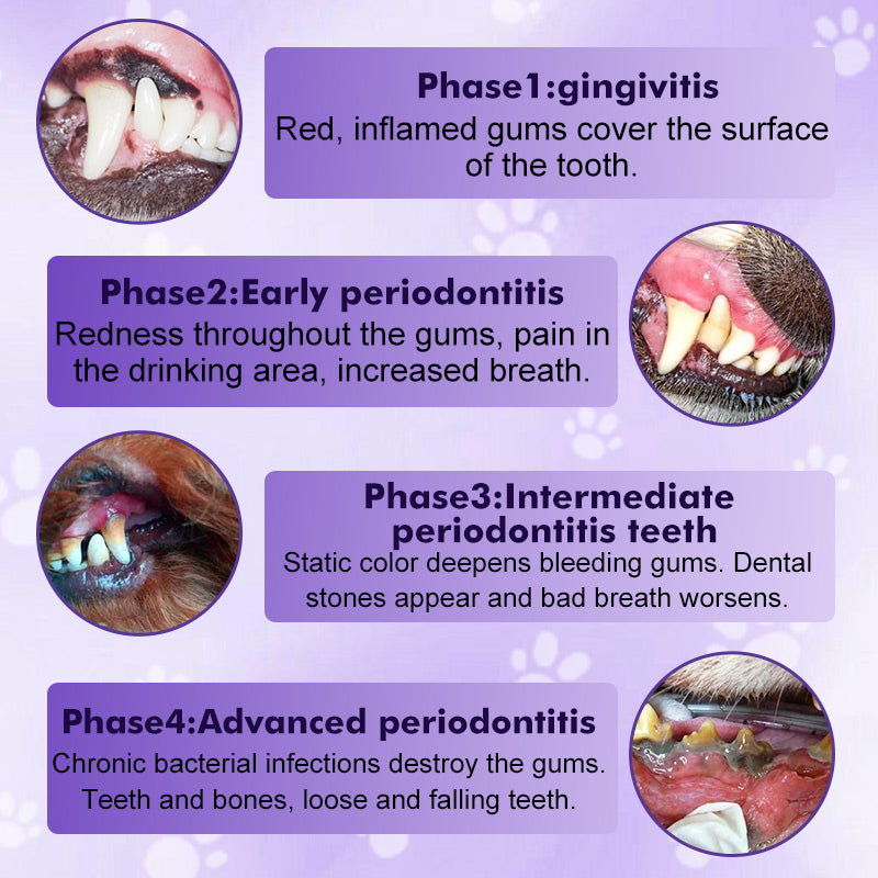 PawClean | Tandborstpenna för Husdjur