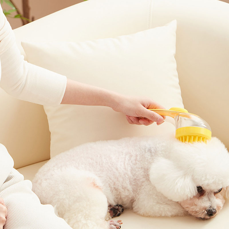 PawsEase | Husdjursborste med Långt Handtag